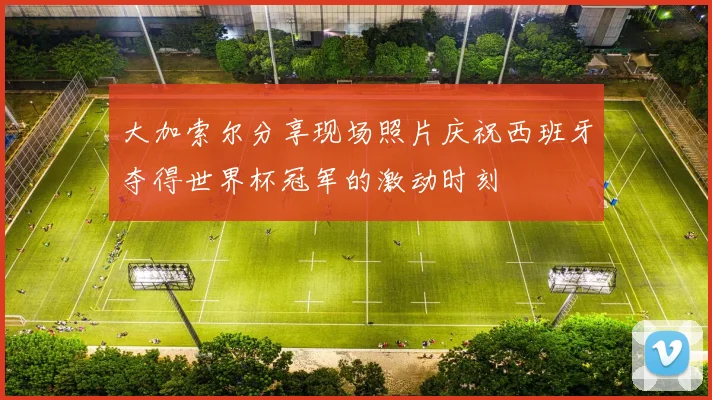 大加索尔分享现场照片庆祝西班牙夺得世界杯冠军的激动时刻